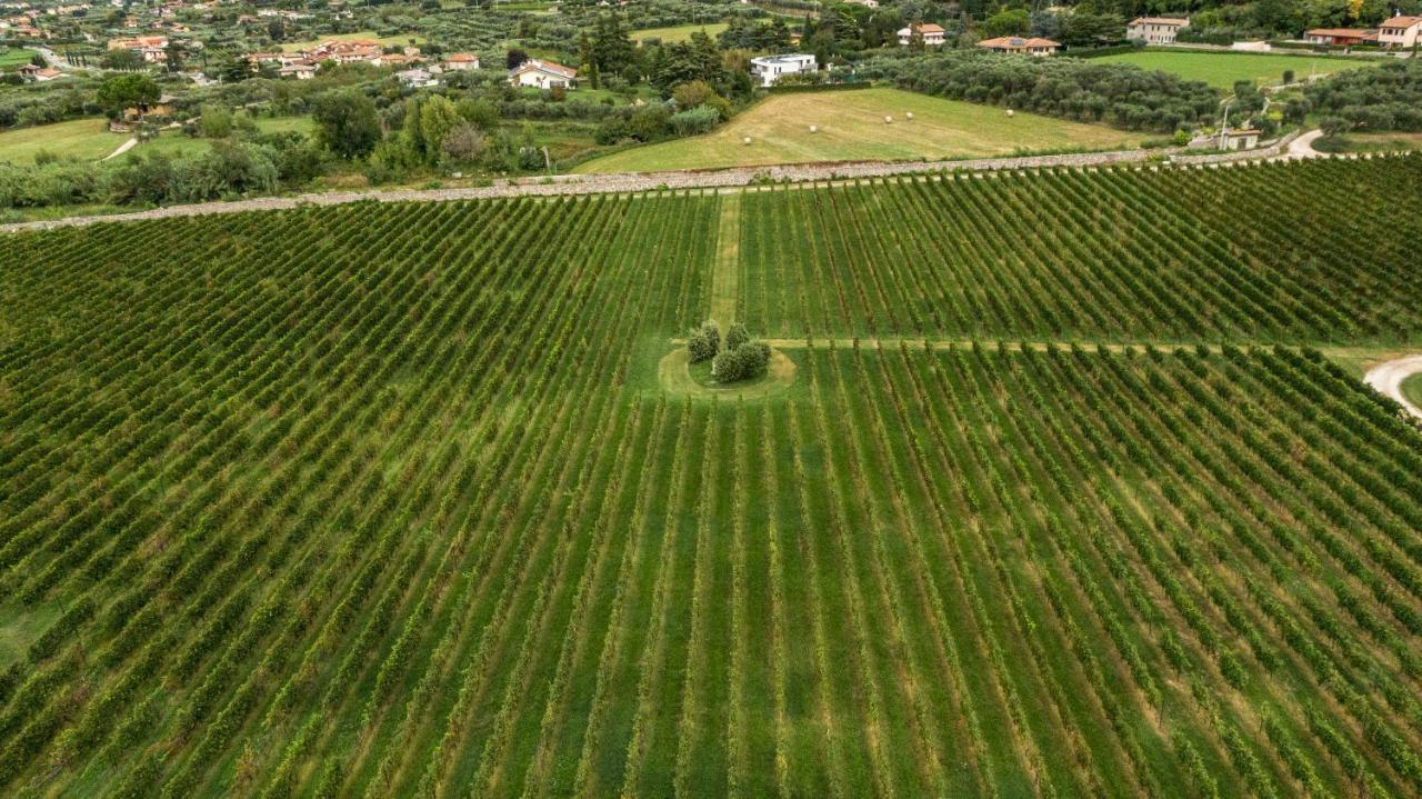 Agriturismo Borgata Levita บาร์โดลิโน ภายนอก รูปภาพ